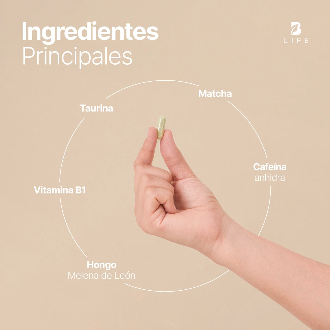 Caffeine Blend | Mezcla a base de Cafeína, Matcha, Hongo Melena de León, Taurina y Vitamina B1