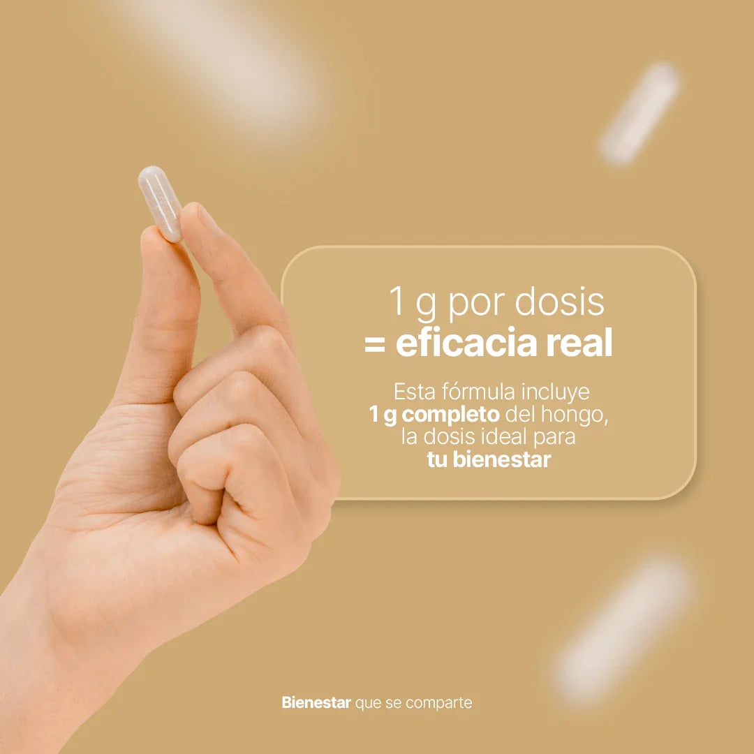 Hongo de Melena de León 90 Capsulas