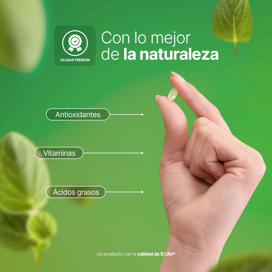 Oregano Oil | Extracto de Aceite de Orégano